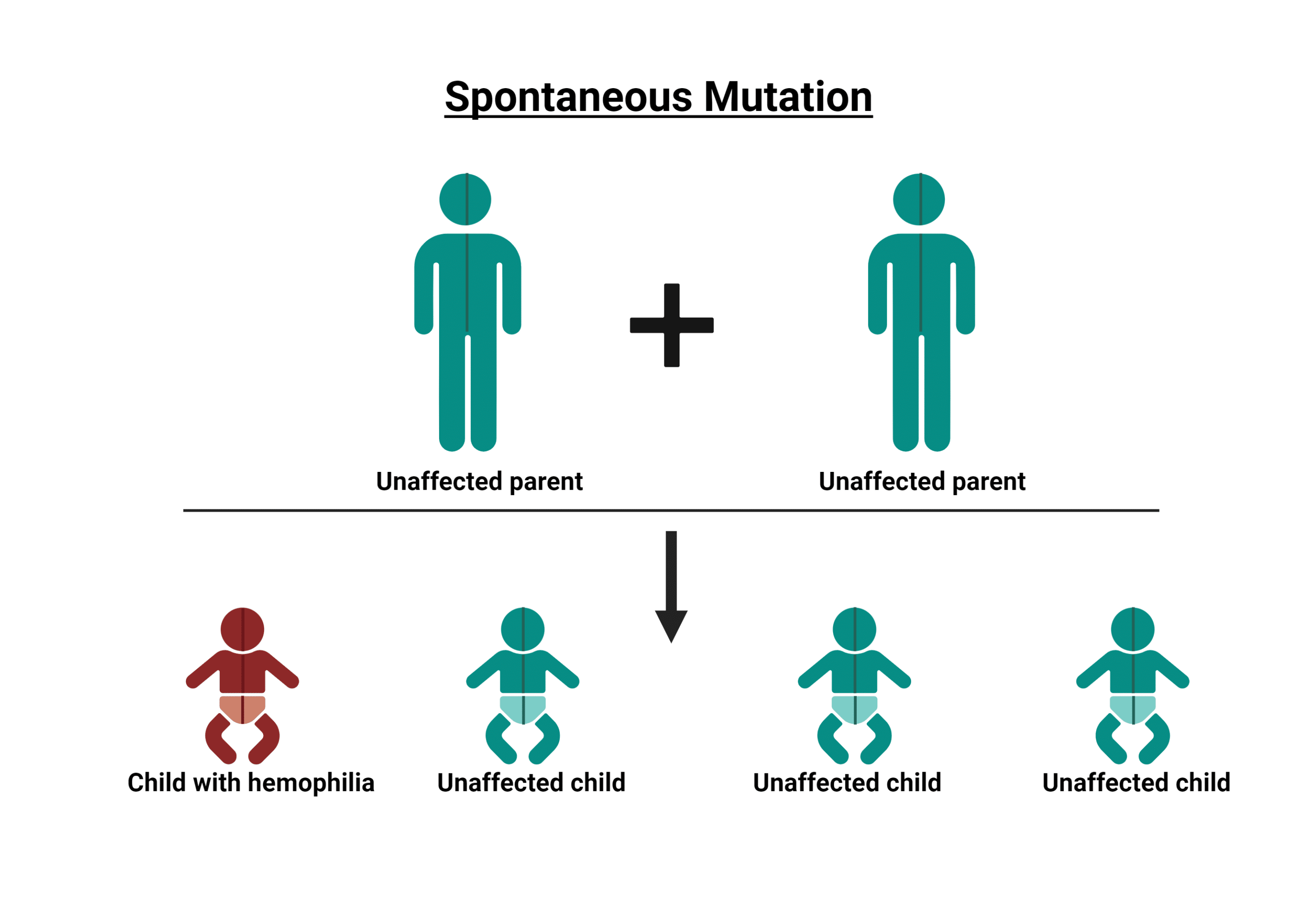 Spontaneous mutation - child born with hemophilia