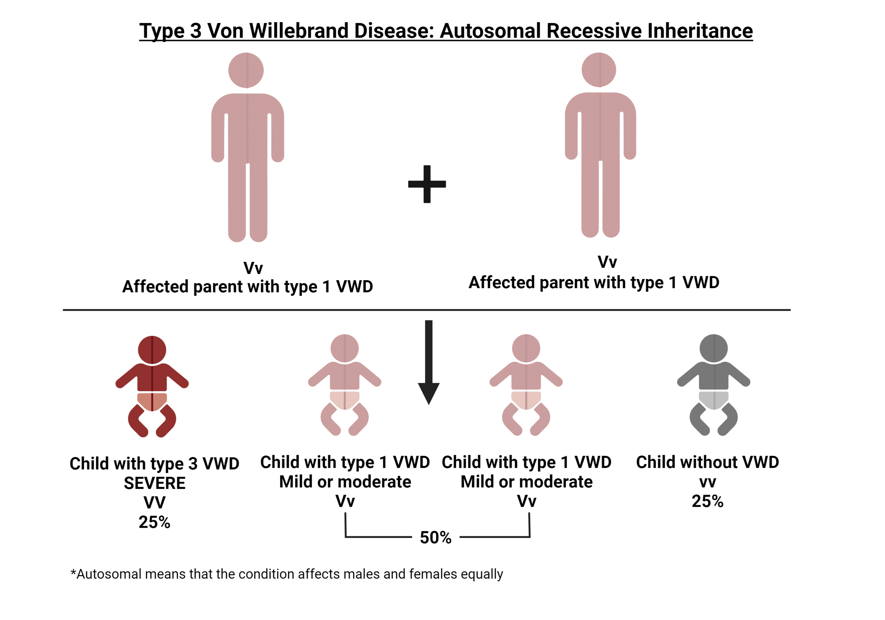 Type 3 VWD Inheritance
