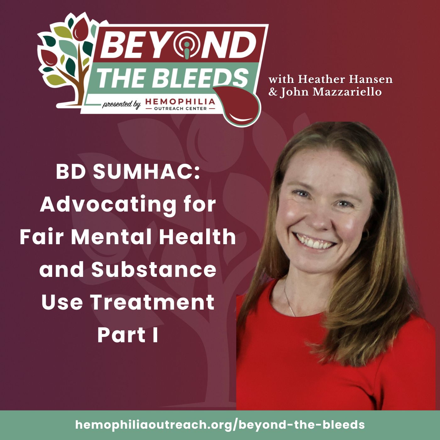 BD SUMHAC Advocating for Fair Mental Health and Substance Use Treatment Part I