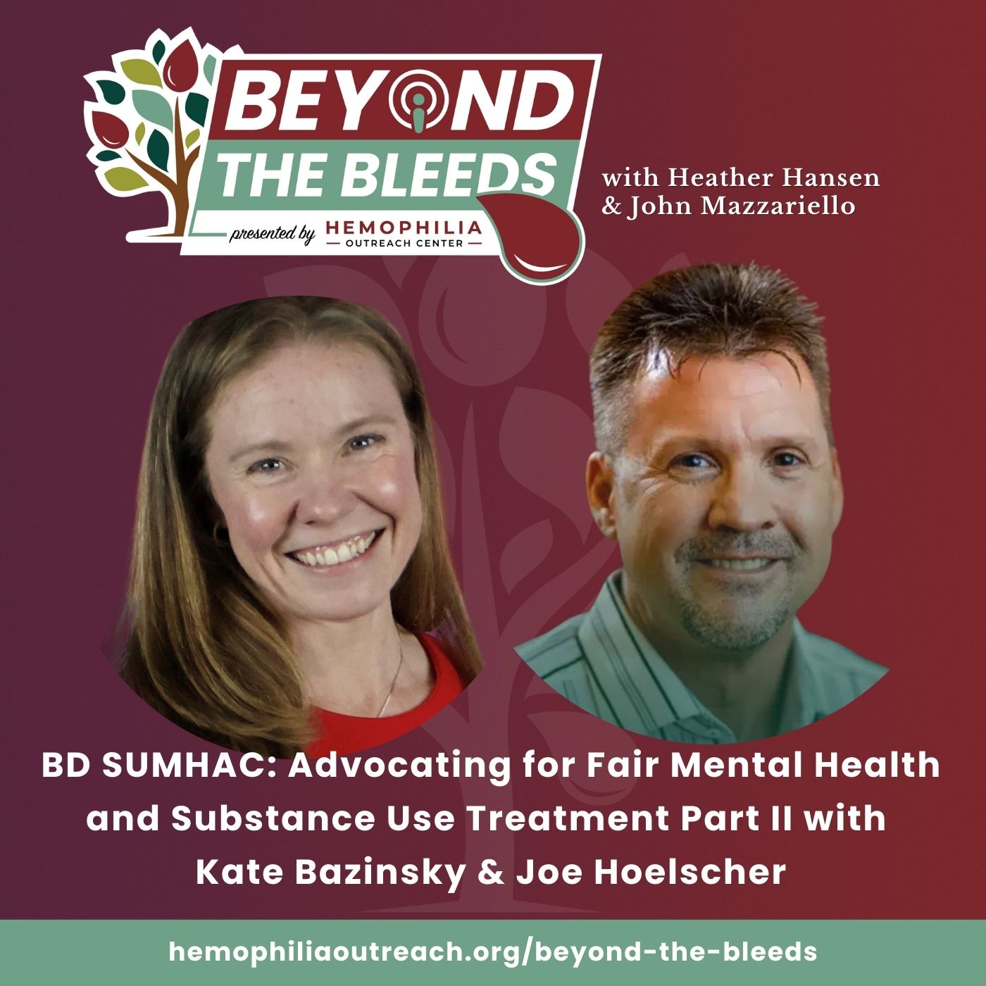 BD SUMHAC: Advocating for Fair Mental Health and Substance Use Treatment Part II with Kate Bazinsky & Joe Hoelscher