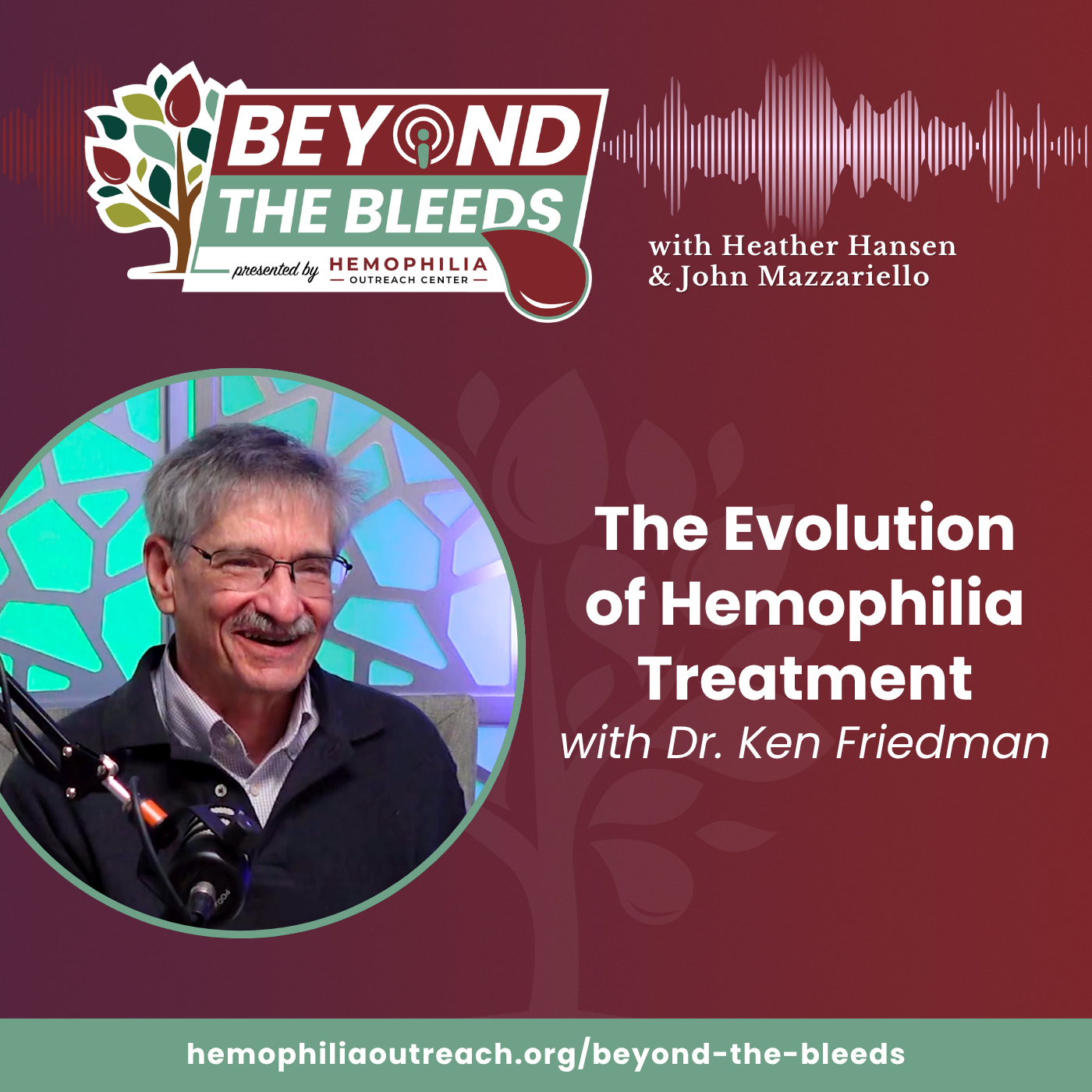 HOC-Podcast-6-22-26 Podcast thumbnail with logo and photo of Dr. Ken Friedman in the studio